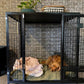 Petarchi PEPPER® Dog Crate