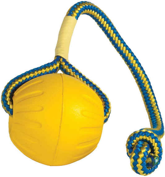 Petarchi Swing 'n Fling Foam Ball Dog Toy